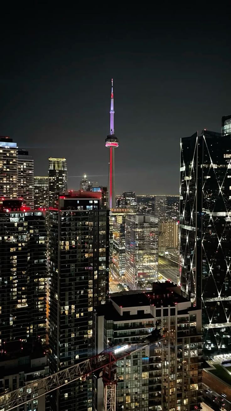 736x1308 Toronto Night View