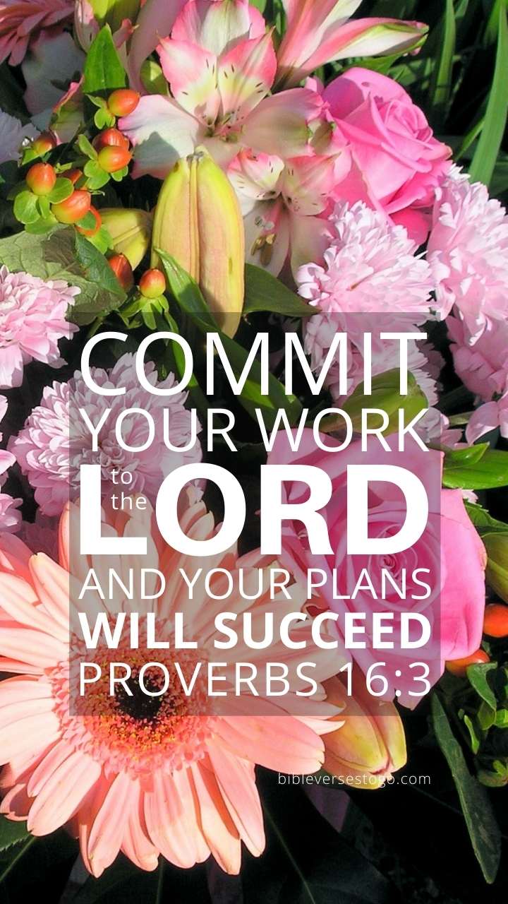 720x1280 Dream Bouquet Proverbs 16:3