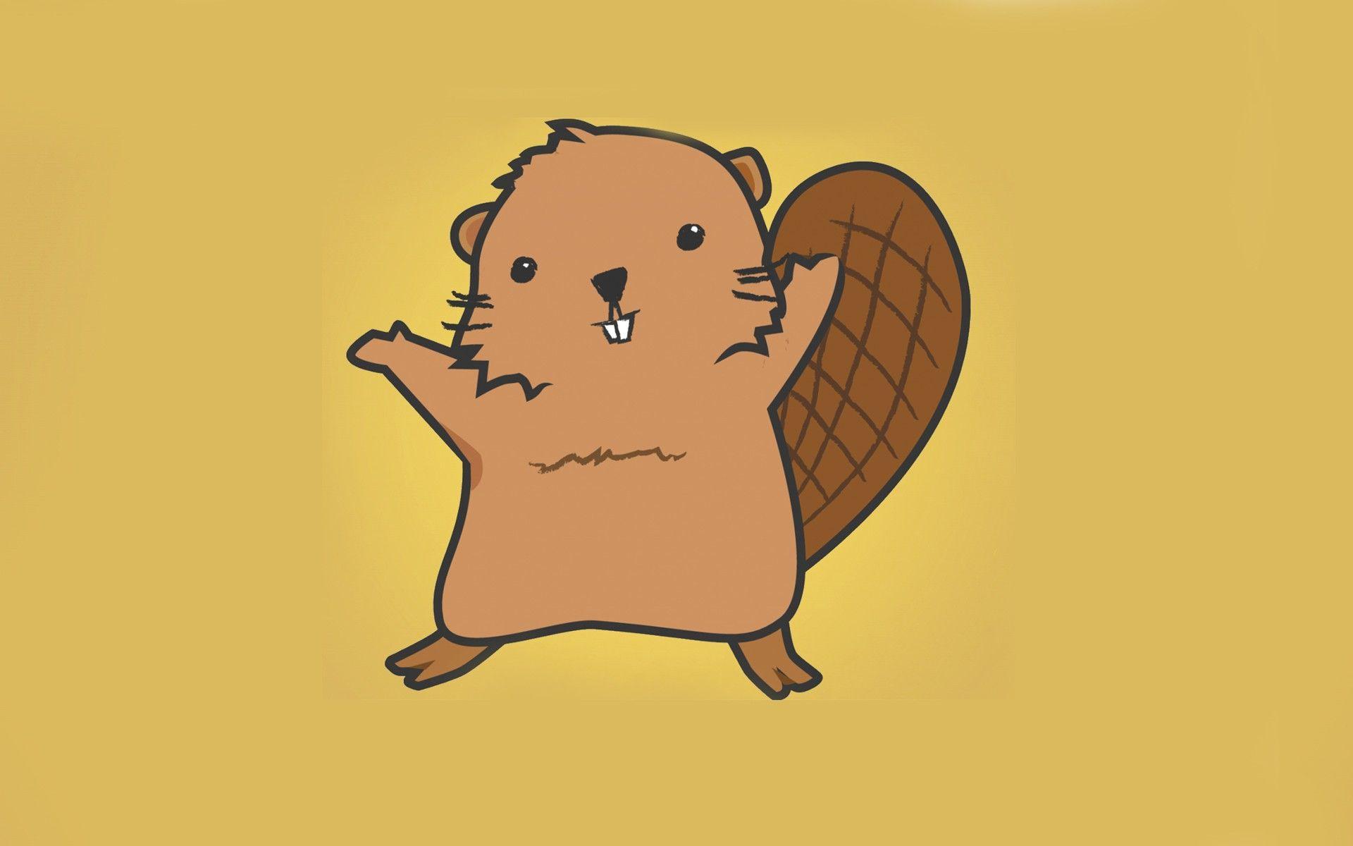 1920x1200 Beaver Wallpaper HQ 28986
