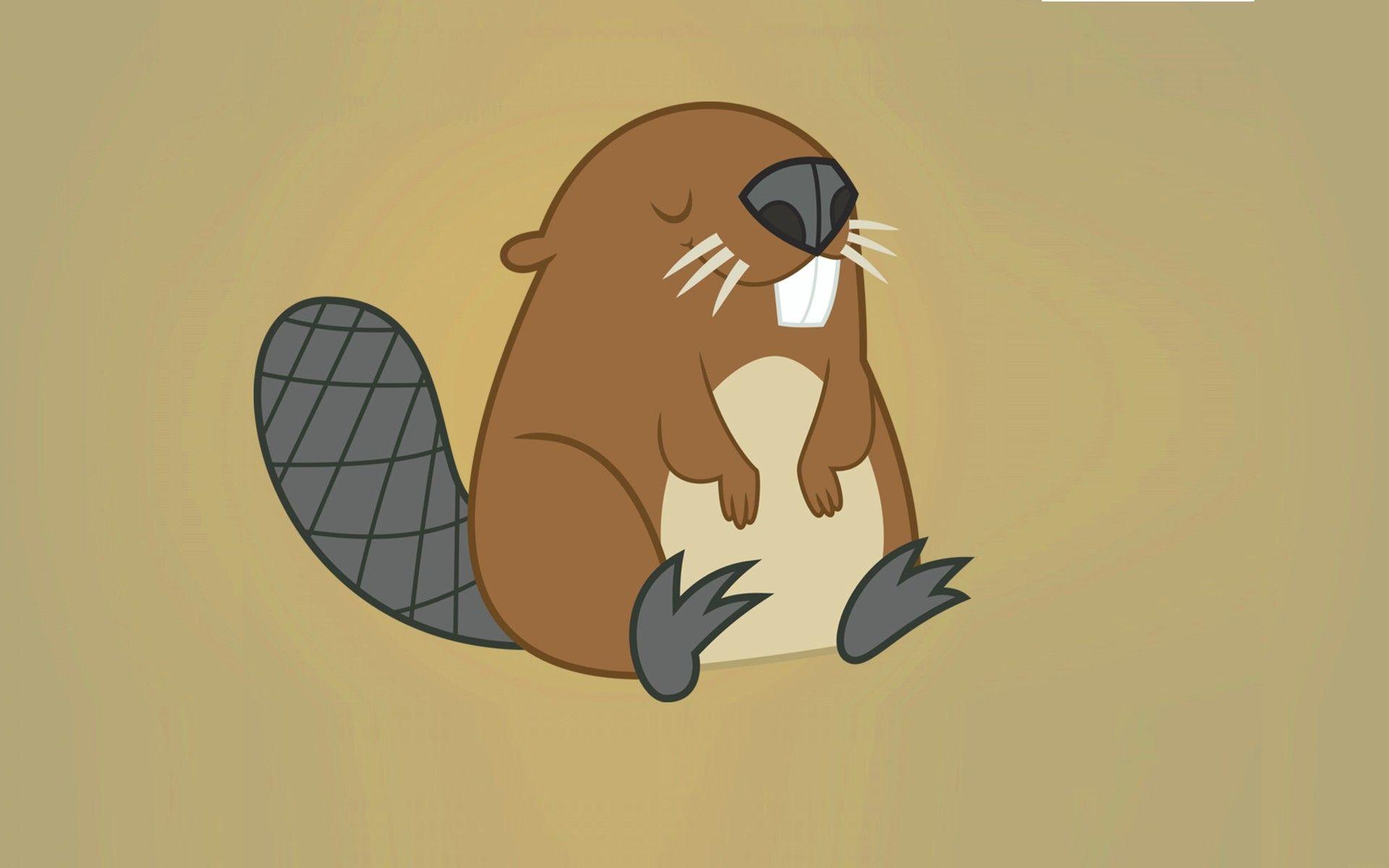 Beaver Wallpapers - Top Free Beaver Backgrounds - WallpaperAccess