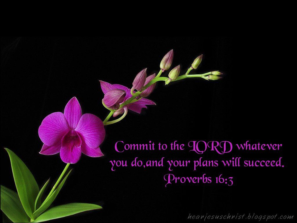 1024x768 Christian Wallpaper: July 2011