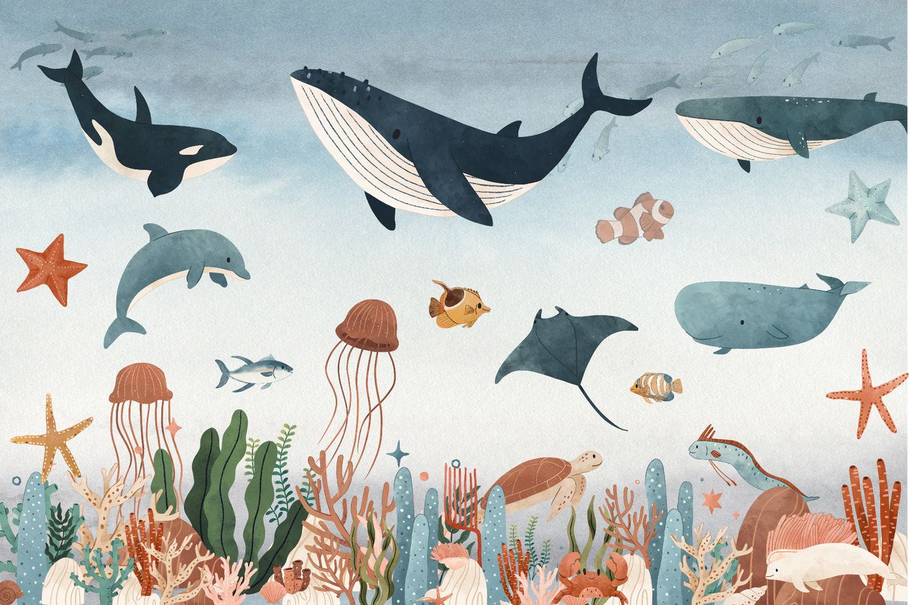 1326x883 Underwater Wallpaper. Shop Marine and Aquatic Wall Murals