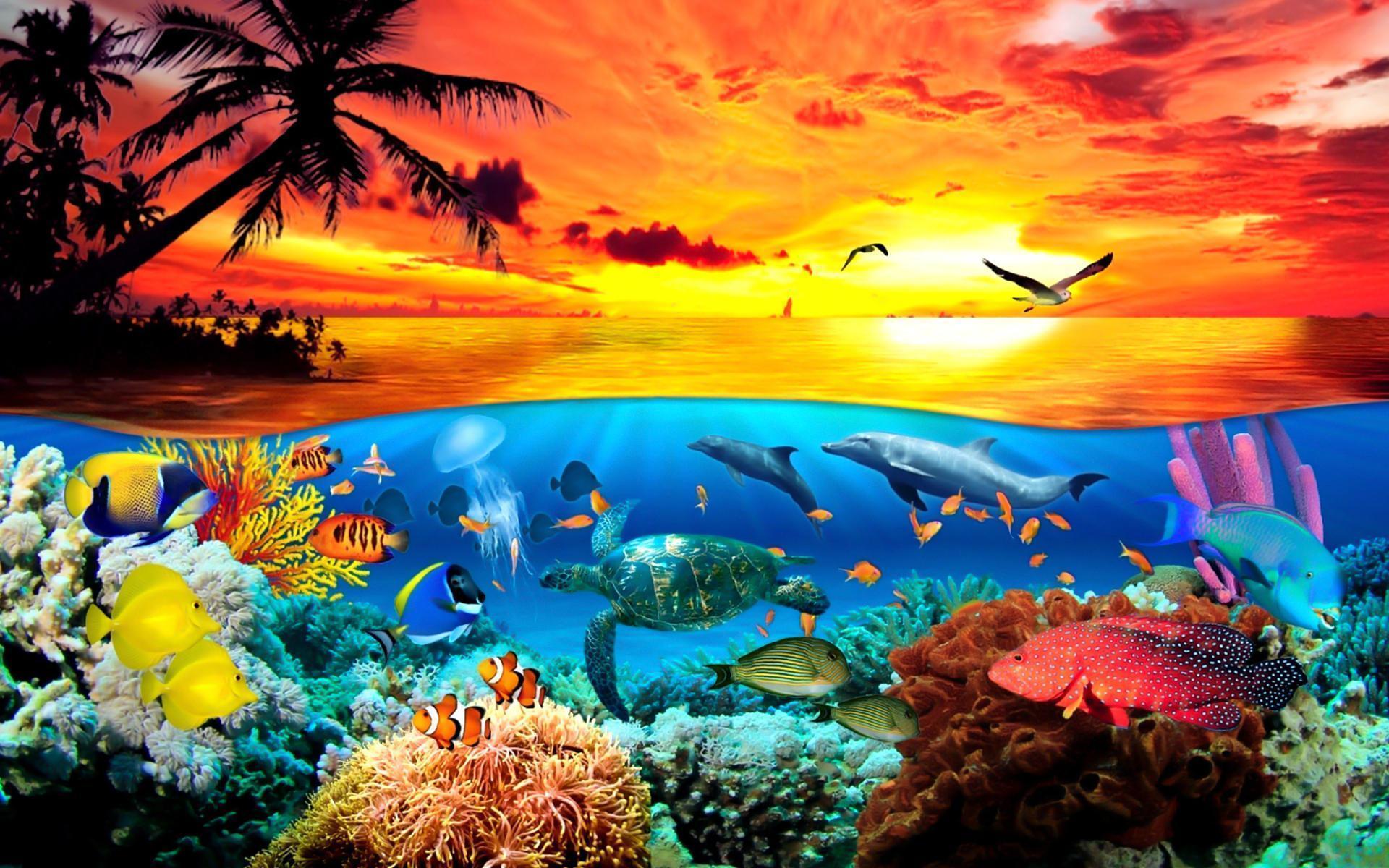 1920x1200 Aquatic Animals Wallpaper