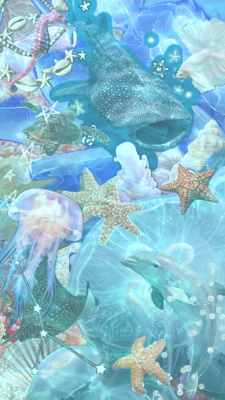 736x1308 Check out poppysg84's Shuffles. Underwater wallpaper, Cute wallpaper background, Ocean wallpaper