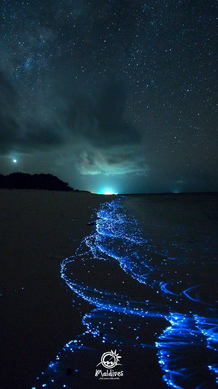 768x1366 Maldives Free Mobile Wallpaper of a Glowing beach