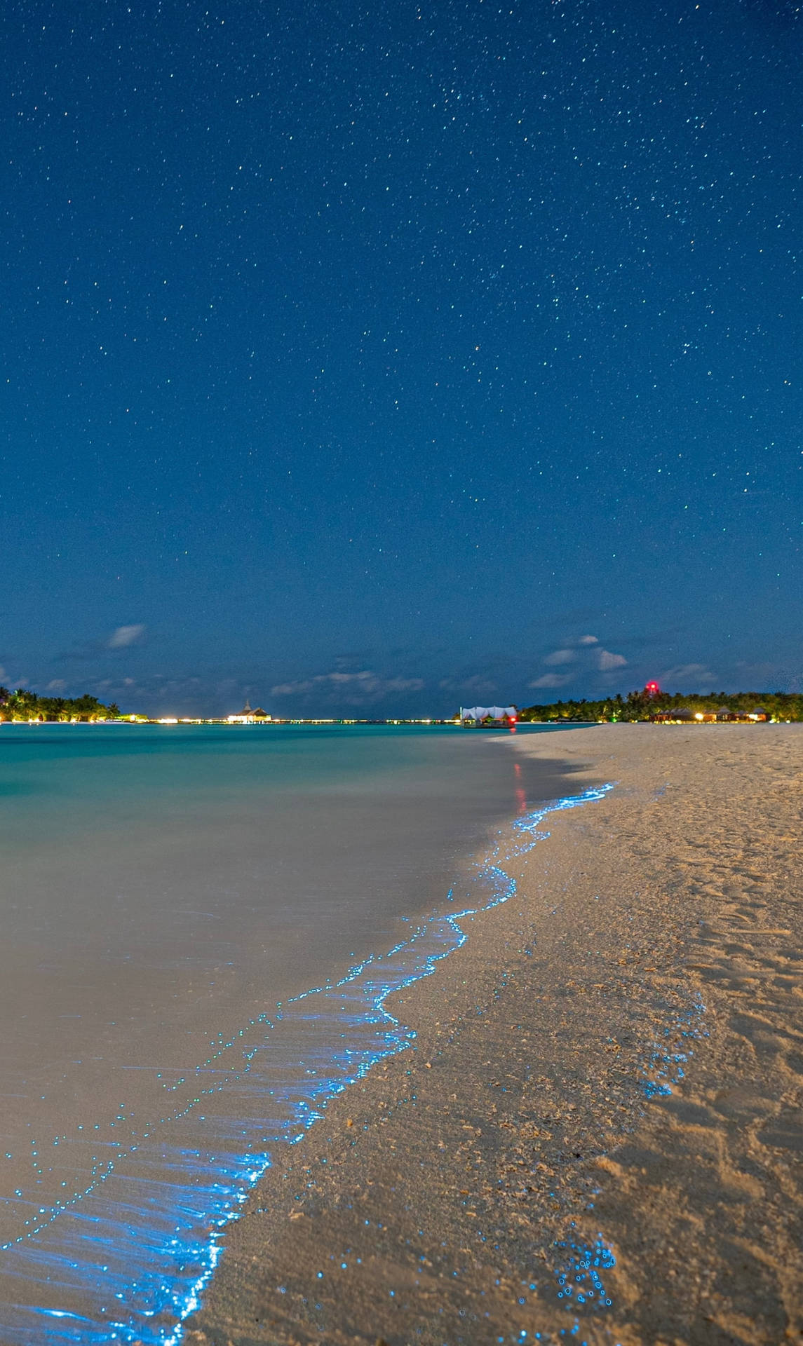 1145x1920 Download Bioluminescent Beach Wave iPhone Wallpaper