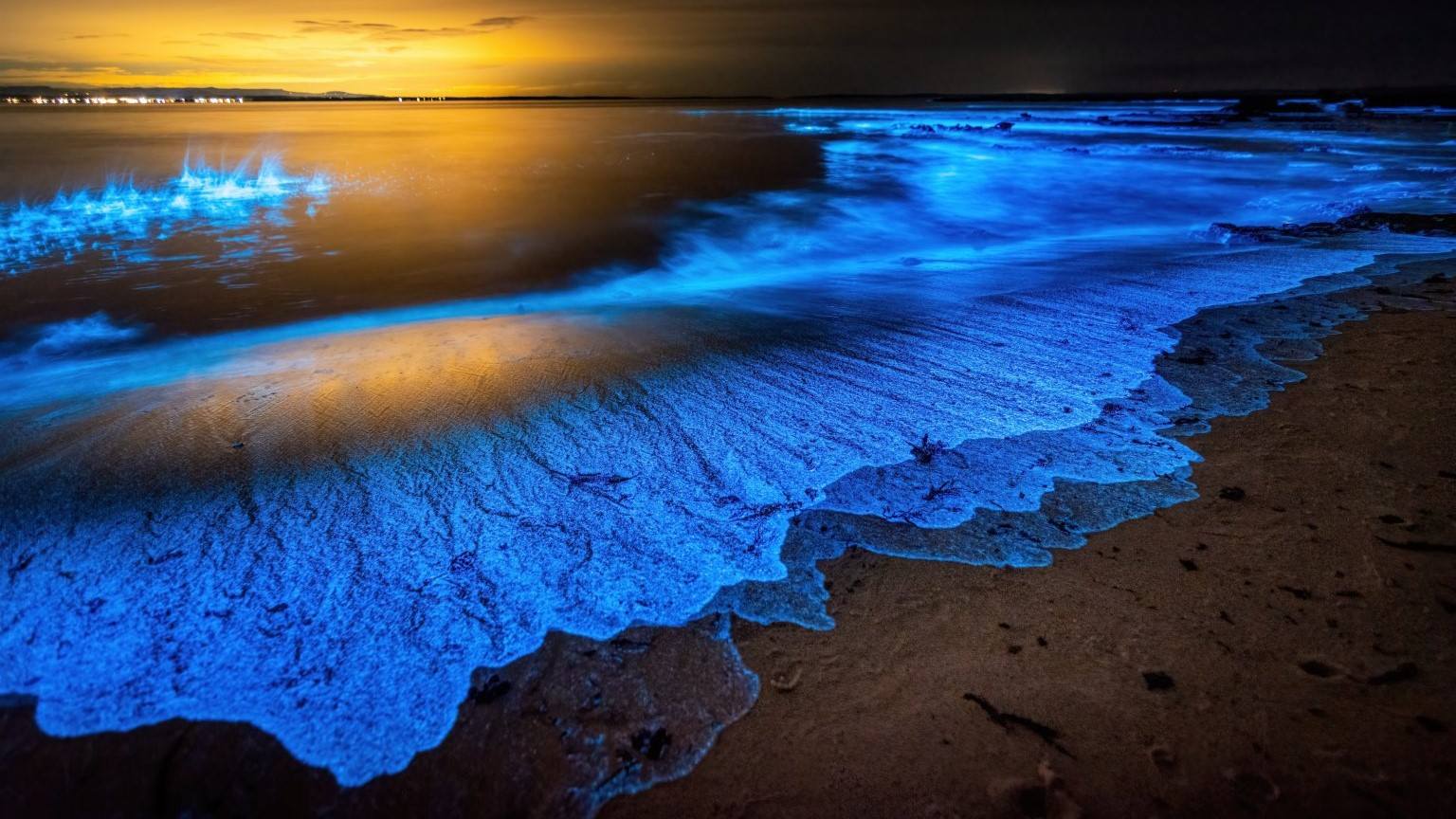 1536x864 Glowing 'bioluminescent' waves light up Mexican beaches south of Arizona