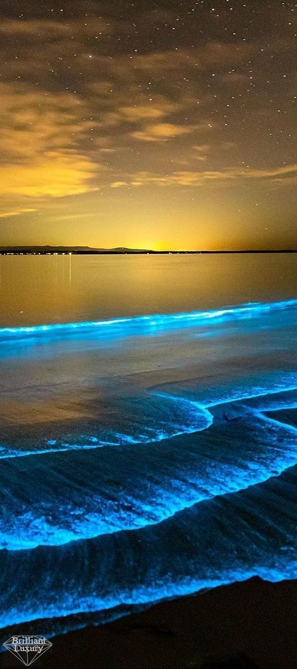 600x1350 Bioluminescent algae species on the beach in South Australia #travel #brillian. Beautiful beach picture, Beautiful