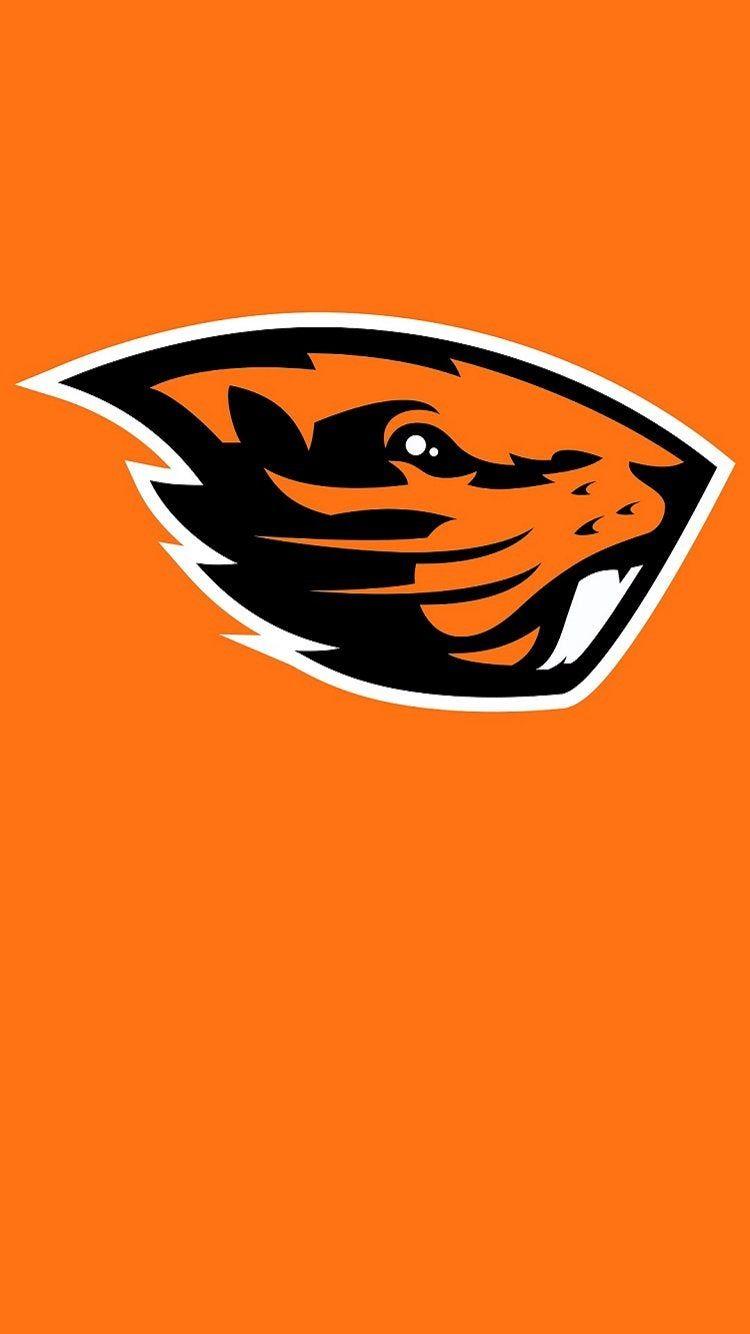 750x1334 A Beaver iPhone Wallpaper I made, works great as a lockscreen