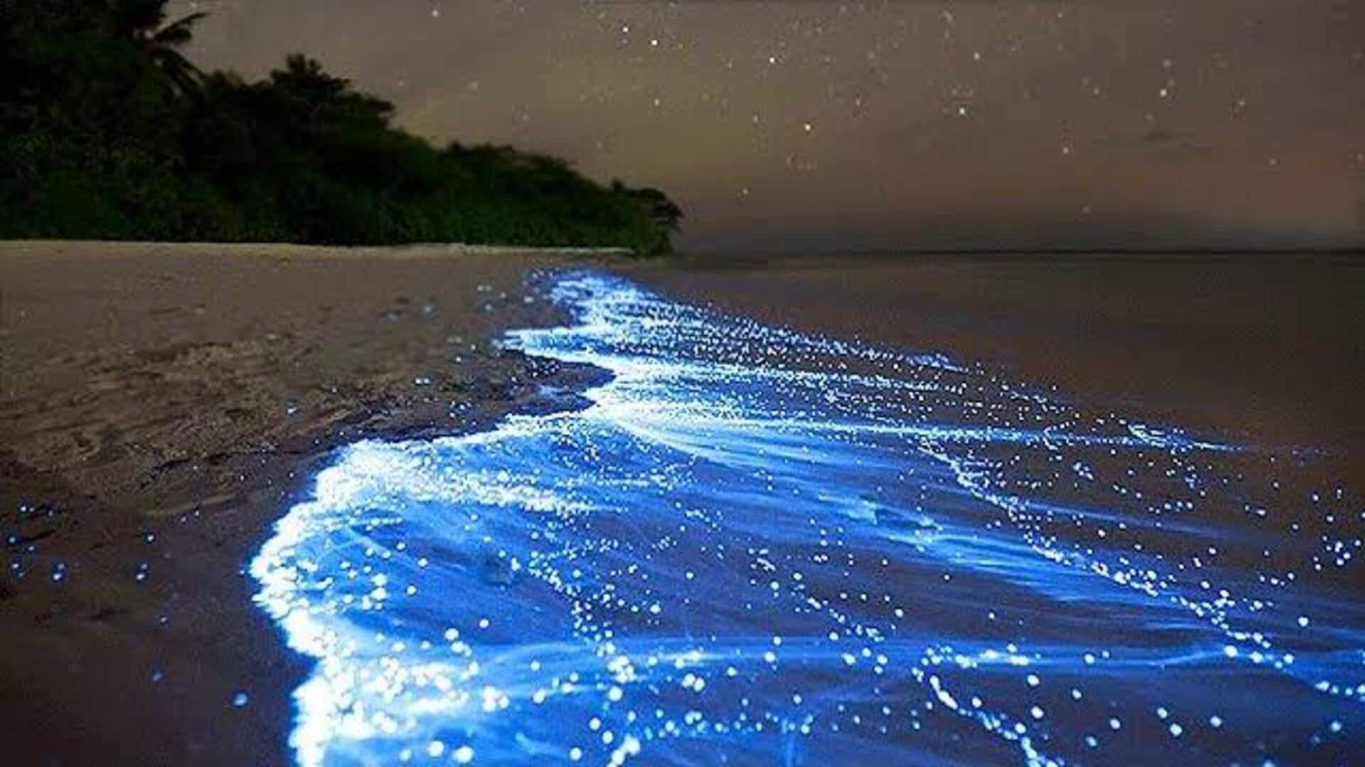 1920x1080 Experience the bioluminescent glow in the Maldives