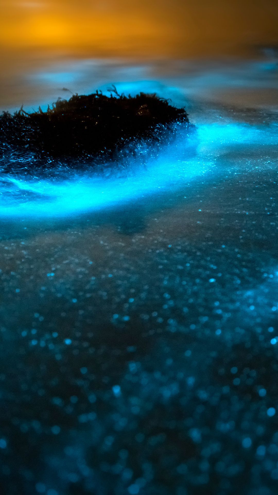 1080x1920 Indian Beaches That Glow In The Dark