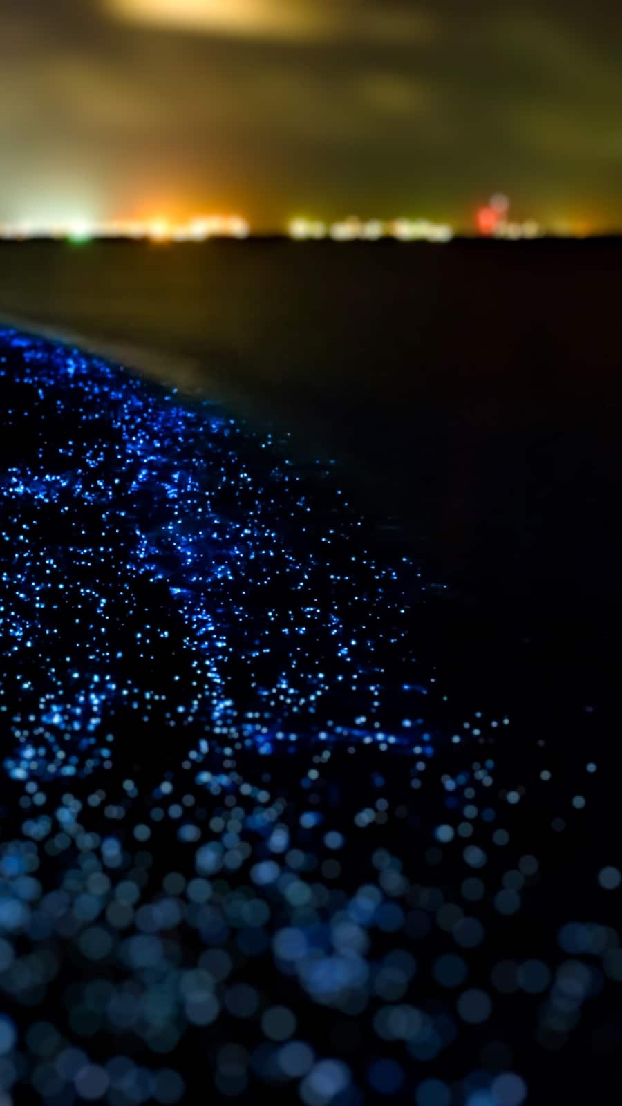 900x1600 Enchanting Beaches in India That Glow in the Dark