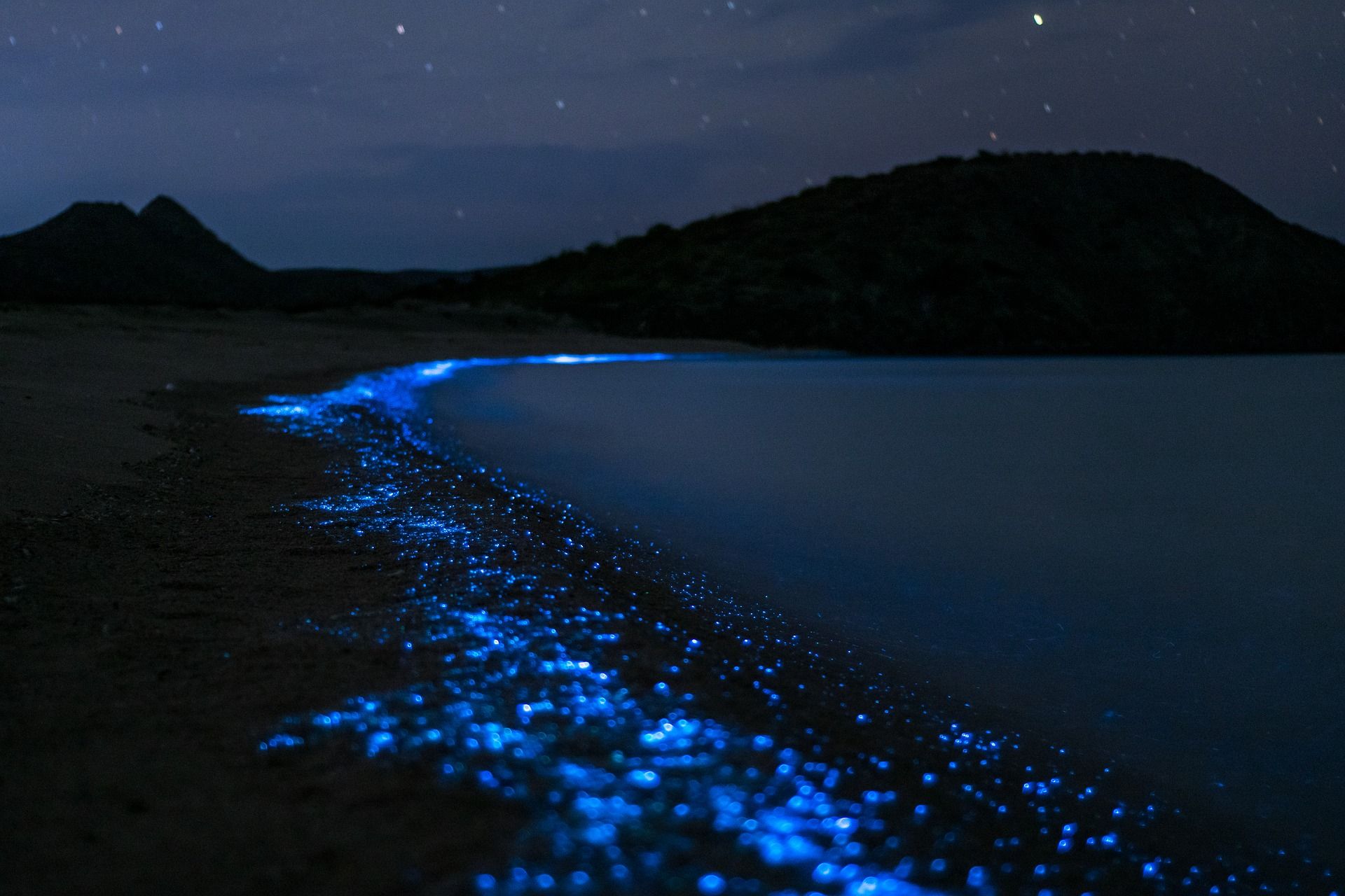 1920x1280 Where to See Bioluminescence: 9 Beaches and Locations Worldwide