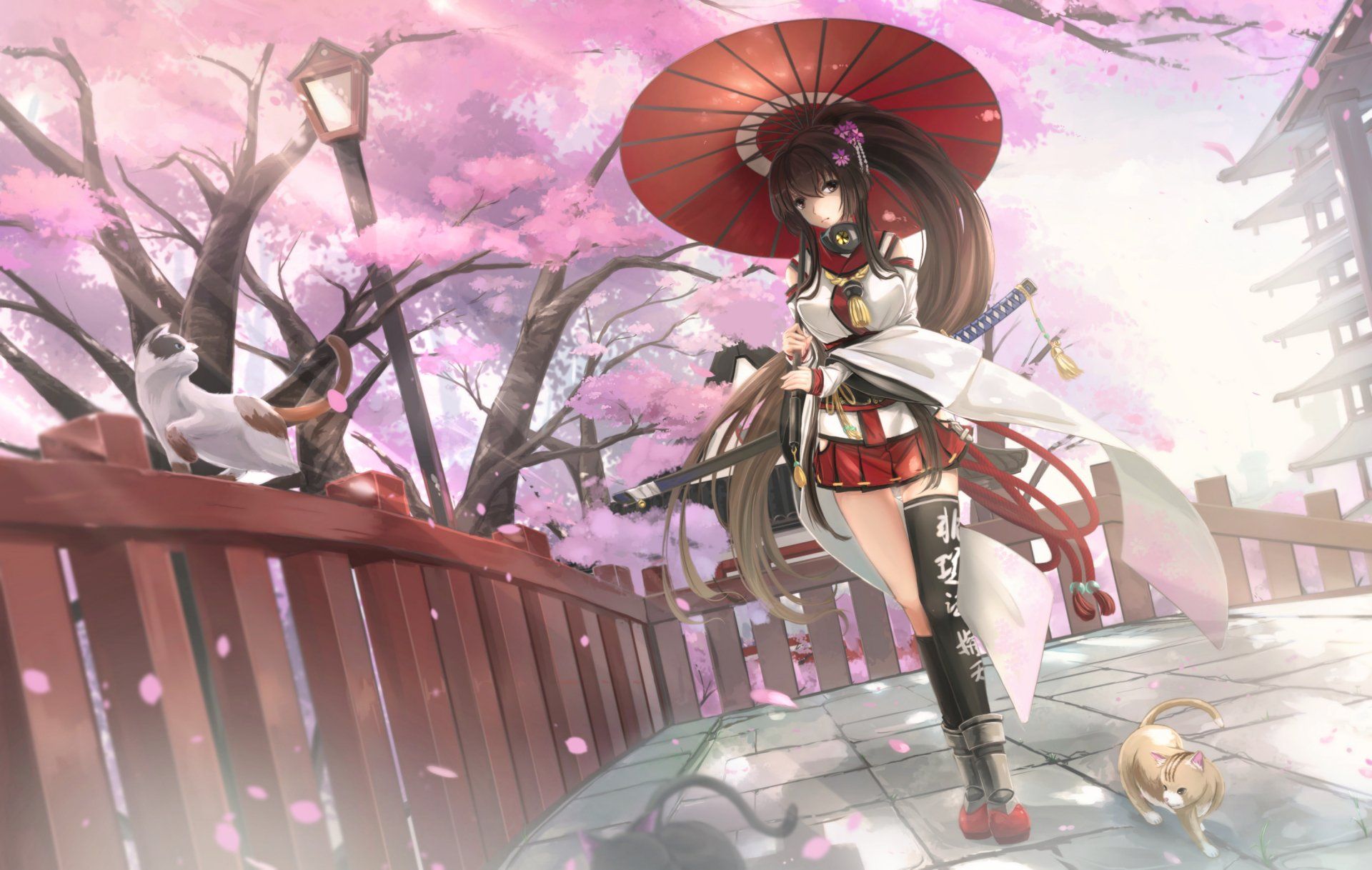 1920x1218 Sakura Samurai