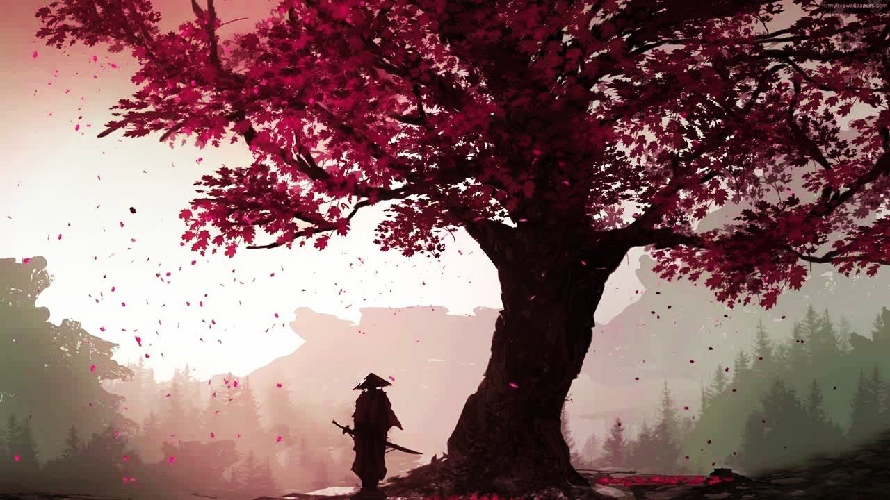 1280x720 Sakura Mix☯ Lofi Mix (relax Game Study)
