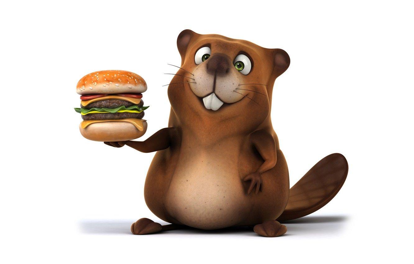 1332x850 Wallpaper character, funny, beaver, hamburger, beaver image