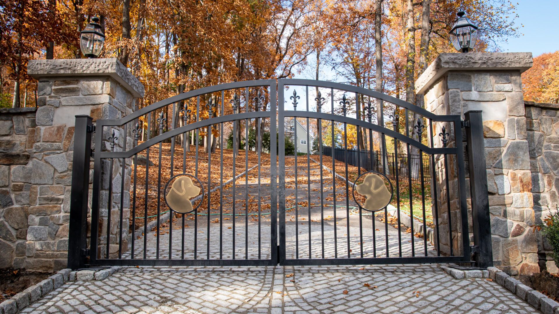 1920x1080 Dog Driveway Gate