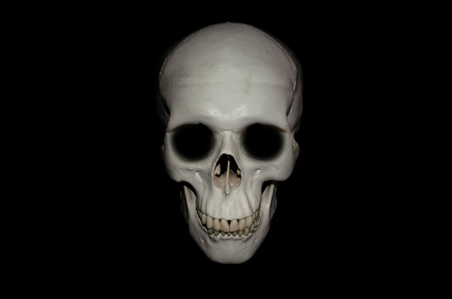 1920x1272 Free Image : black and white, isolated, part, model, halloween, human, darkness, object, monochrome, dead, death, medicine, skull, gothic, bone, life, mouth, face, nose, eyes, scary, background, head, poison, brain, creepy, hell
