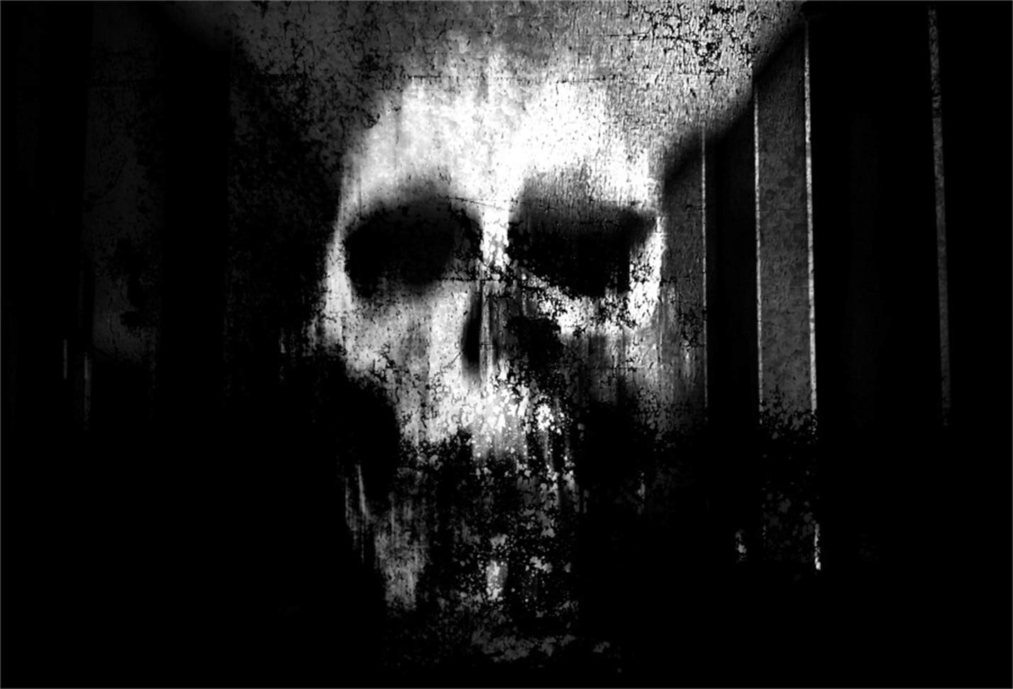 1428x972 LFEEY 5x3ft Scary Halloween Skull Face Background Horror Ghost Head Photography Backdrop Horrible Grunge Haunted House Wall Photo Studio Props Vinyl Banner : Amazon.in: Electronics