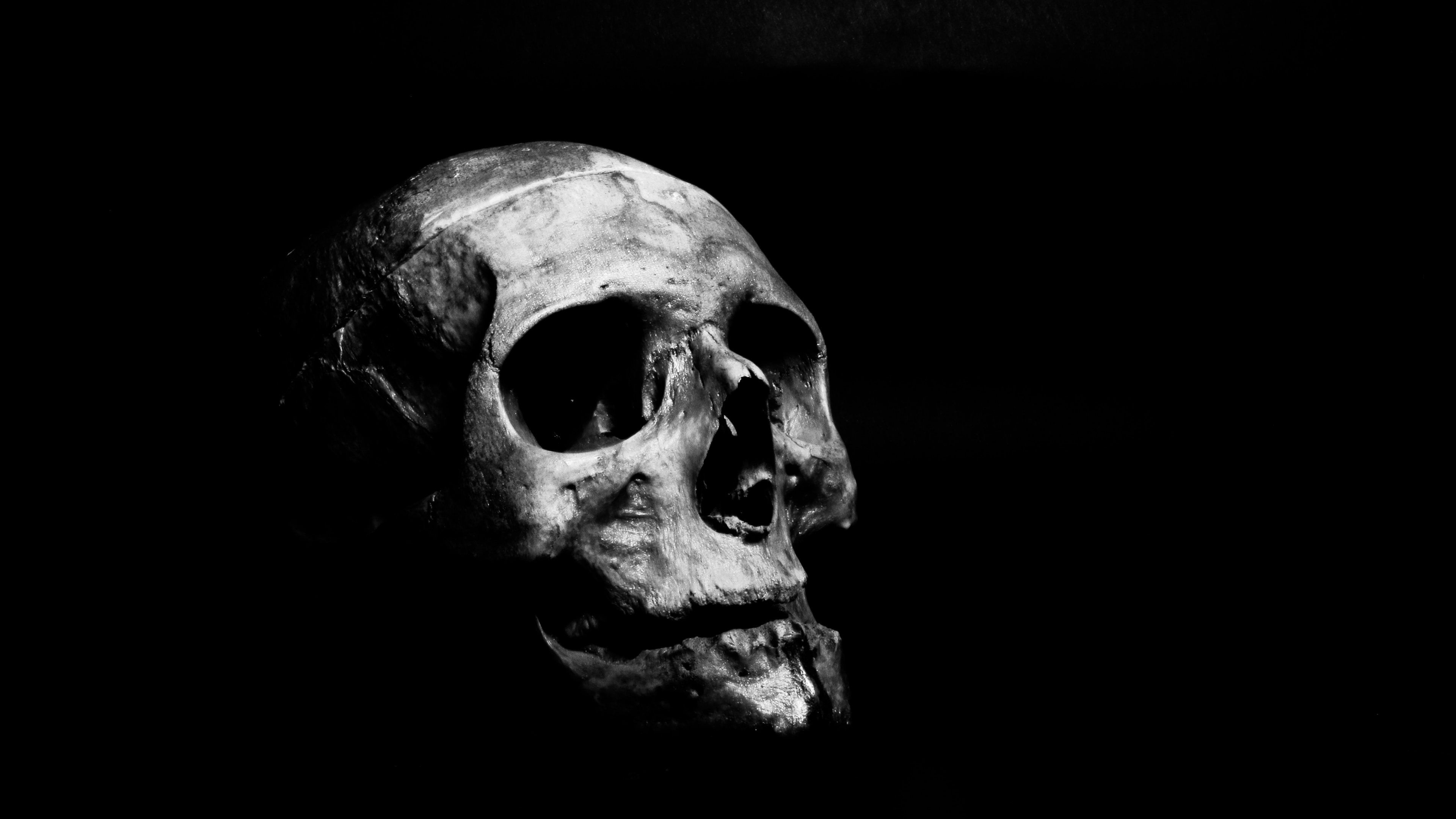 3840x2160 Skull by Ahmed Adly [3840x2160] [4k]