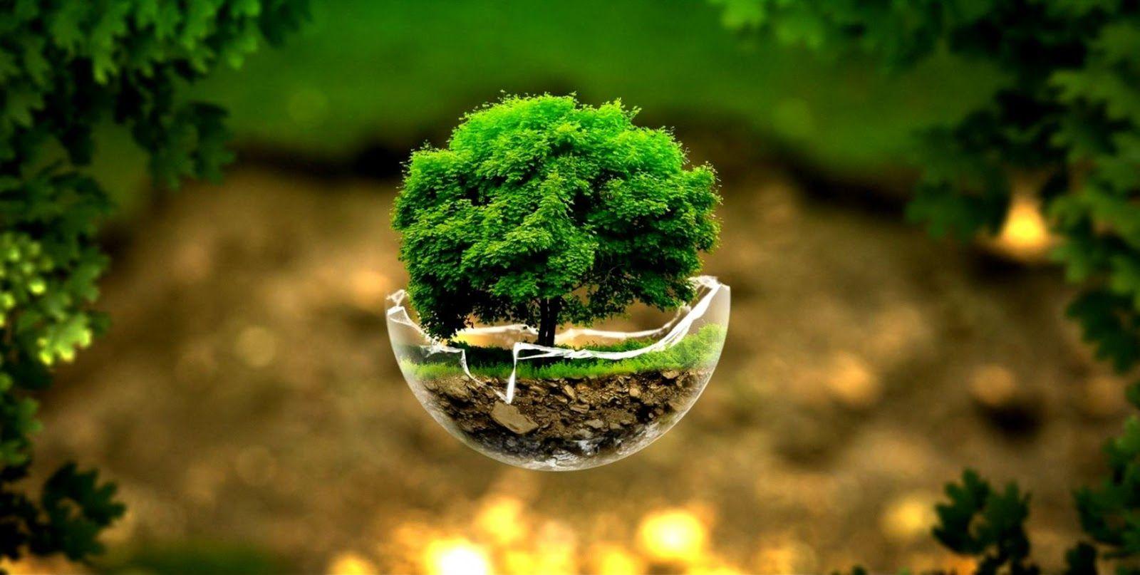 1600x807 Earth Day Wallpaper