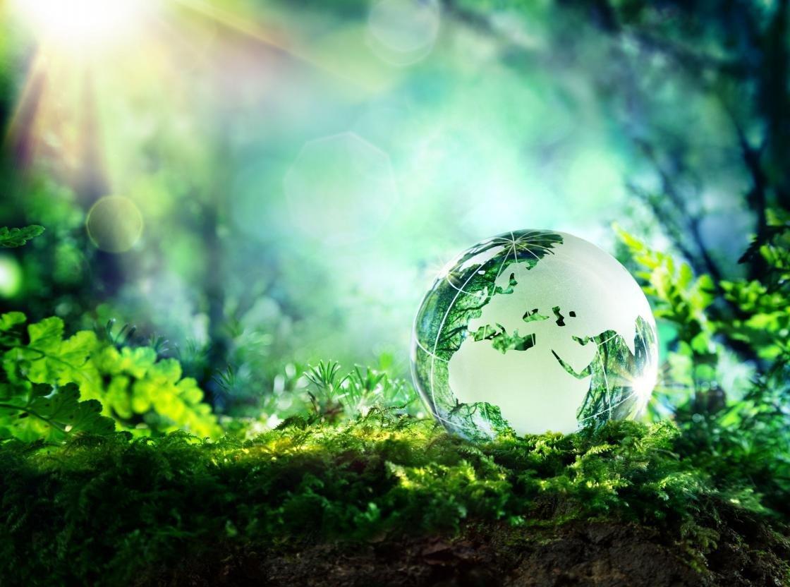 1120x832 Earth Day wallpaper HD for desktop background