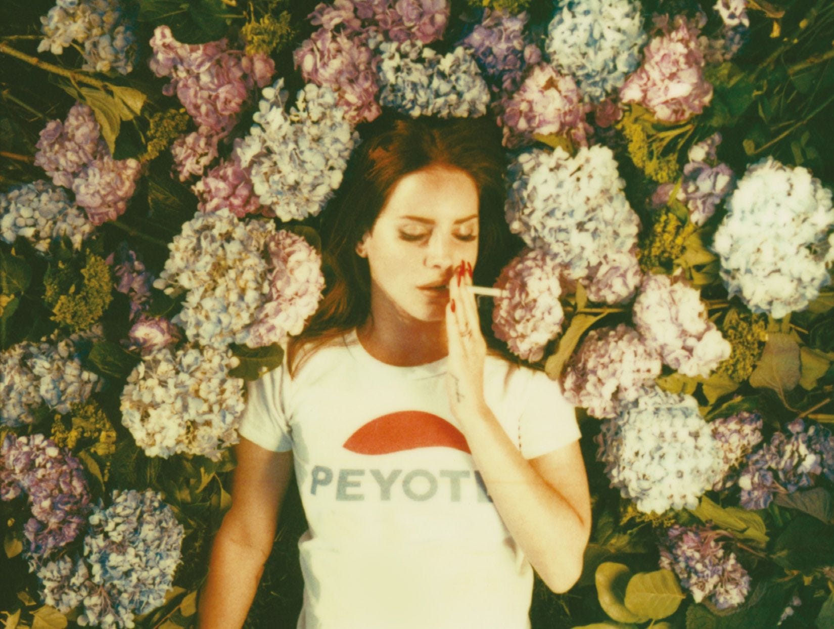 1650x1244 A retrospective look at Lana Del Rey's 'Ultraviolence'.