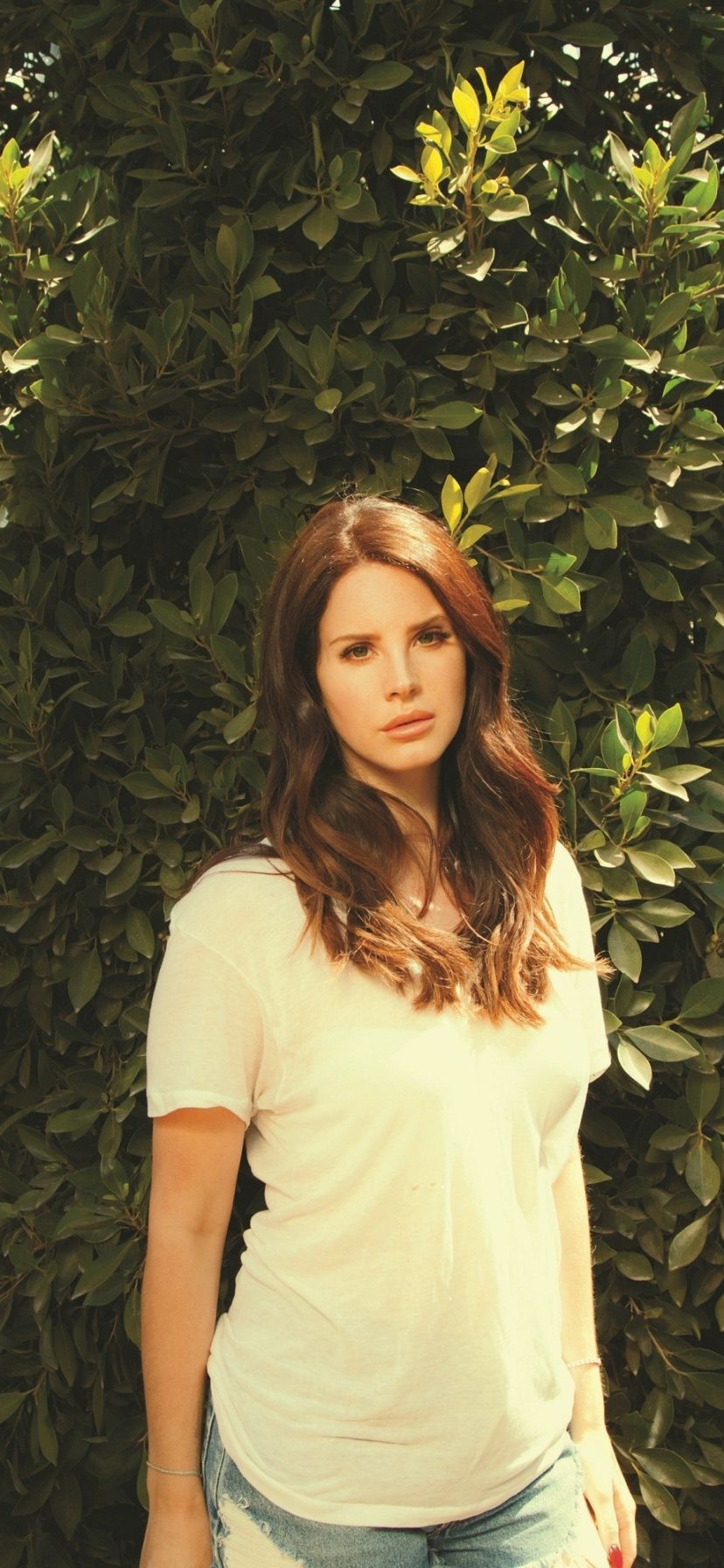 828x1792 Phone wallpaper: Music, Lana Del Rey 1379911