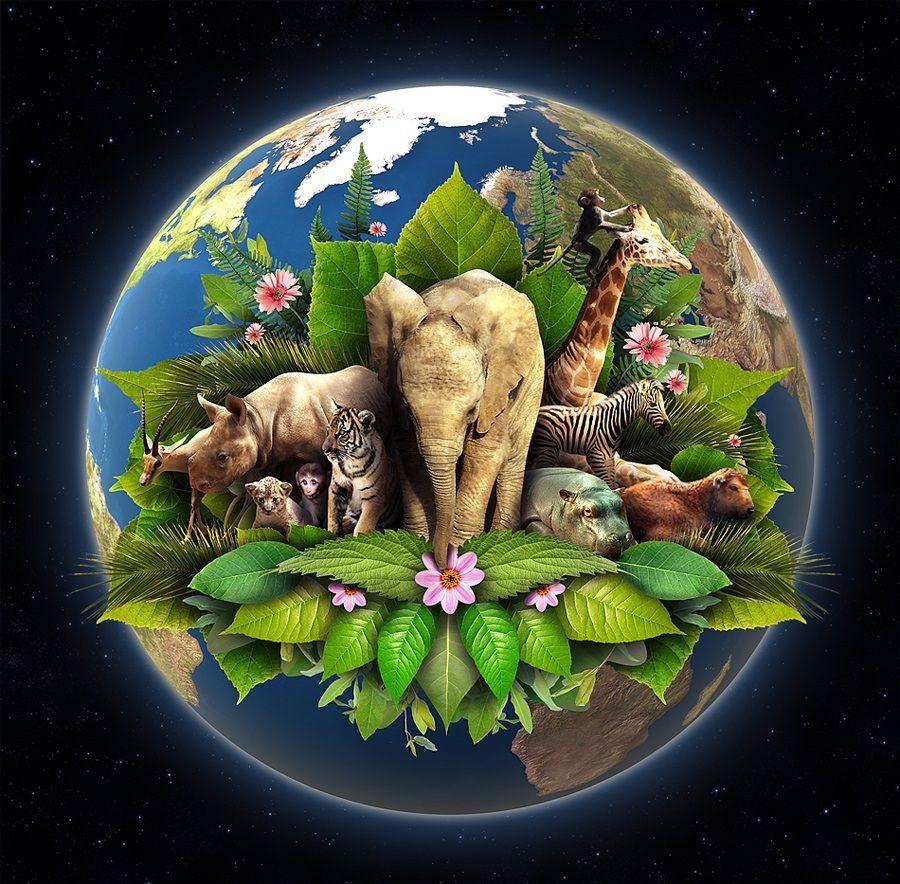 900x884 Best Holidays Wallpaper: Earth Day, Holidays