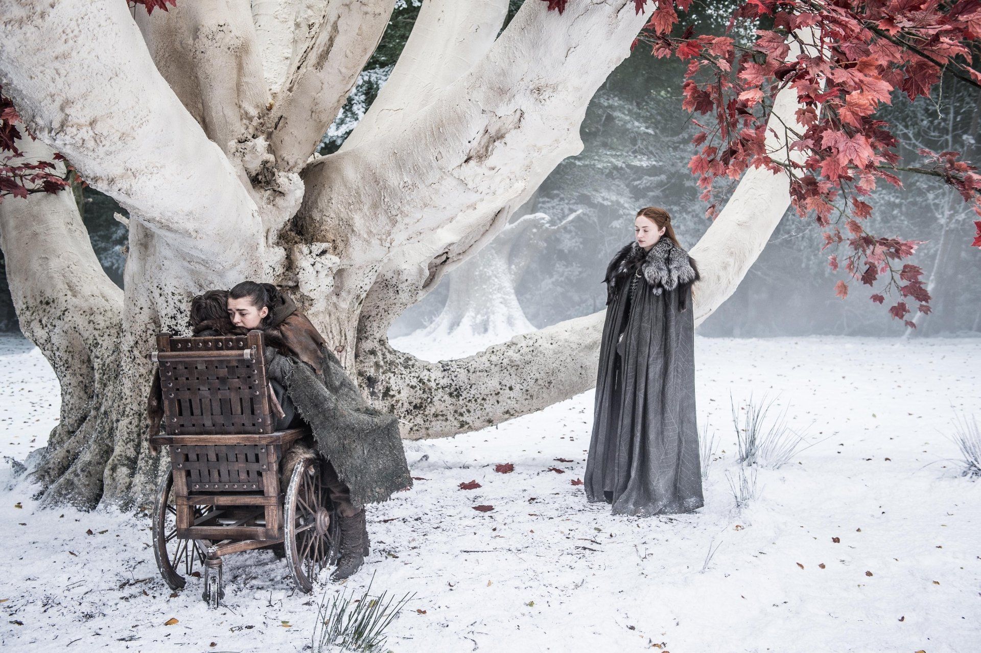 1920x1278 Weirwood Winter: Arya, Bran & Sansa