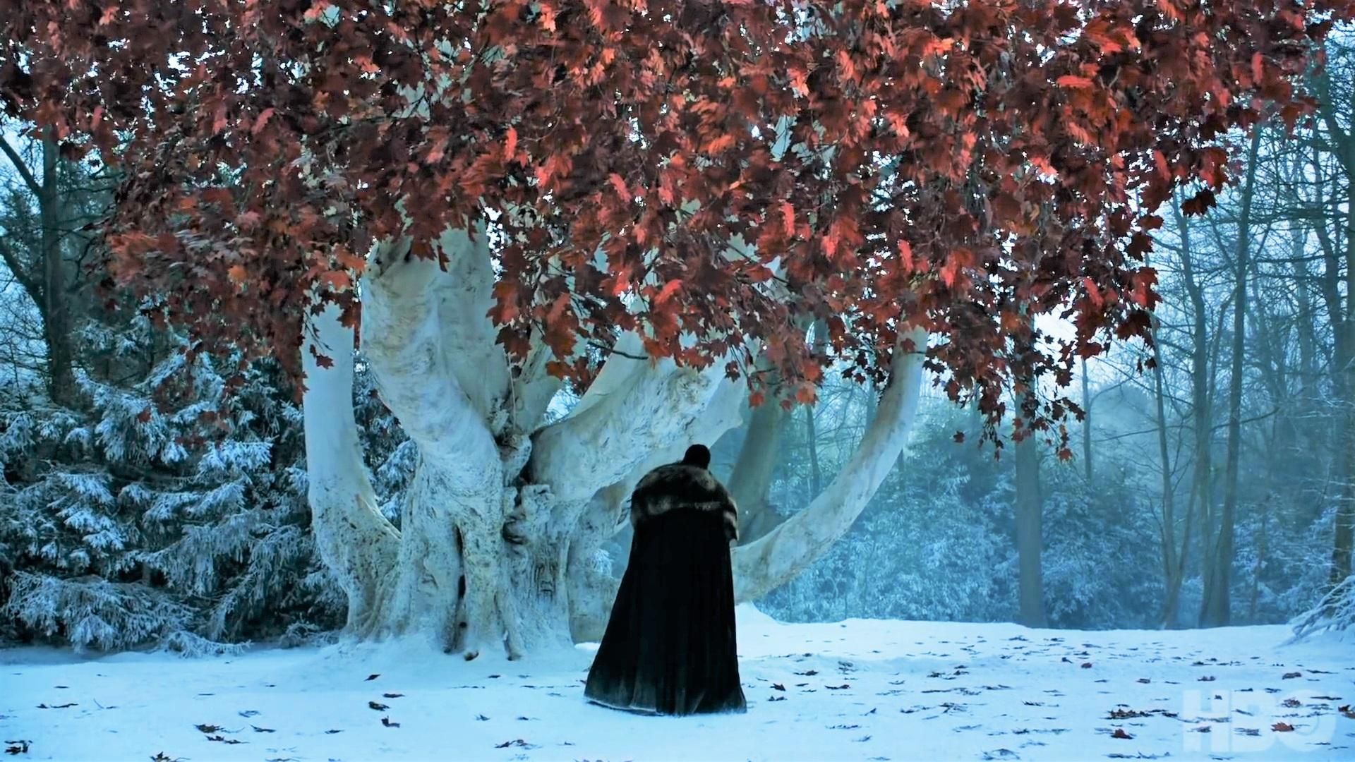 1920x1080 Game of Thrones Weirwood Tree ideas. game of thrones, a song of ice and fire, game of thrones art