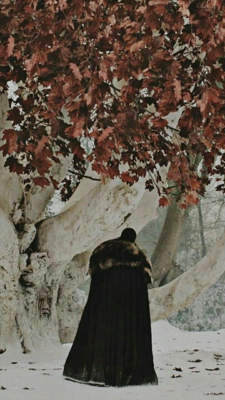 720x1280 The north got aesthetic. Winterfell wallpaper, Winterfell book art, Dark fantasy