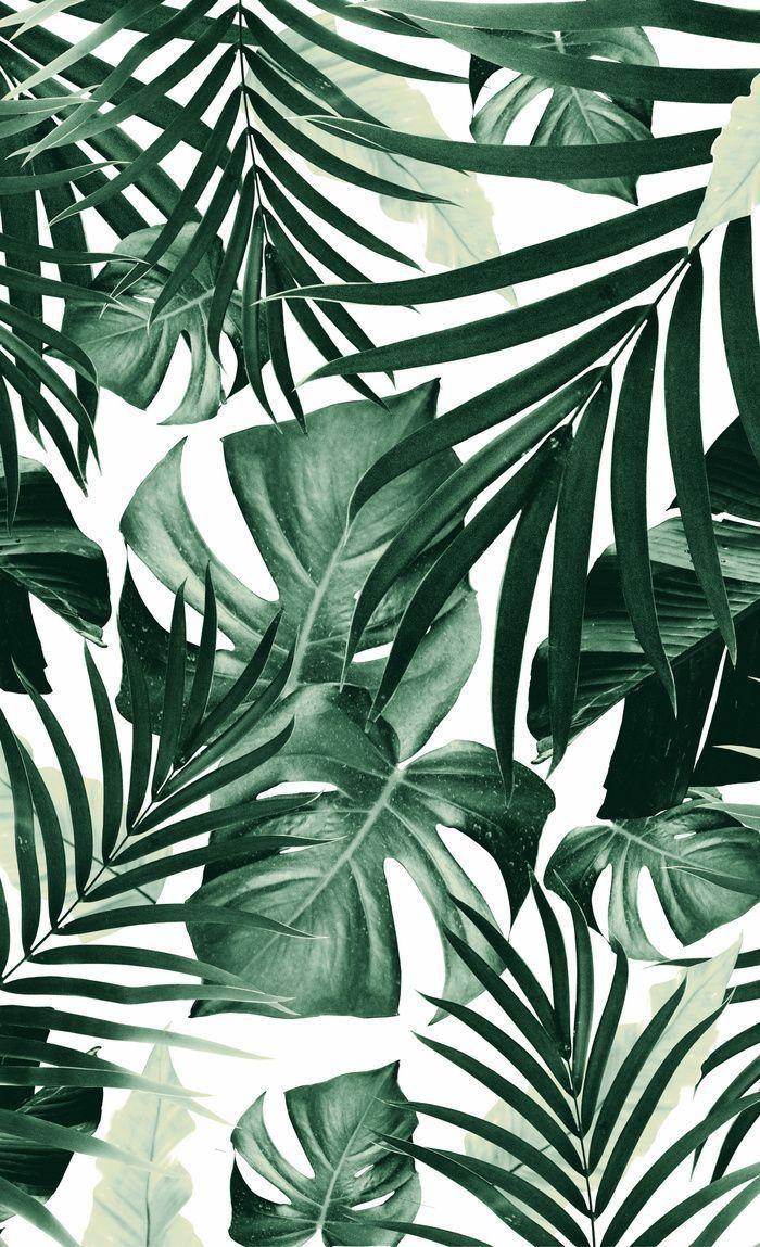 700x1149 botanica. Ilustrasi alam, Latar belakang, Fotografi seni