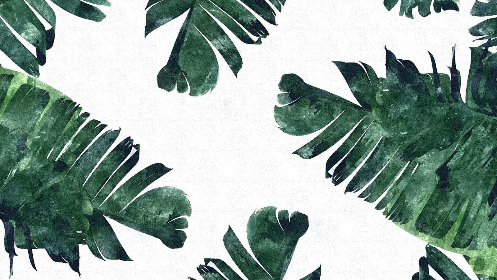1600x900 Aesthetic Leaves Wallpaper