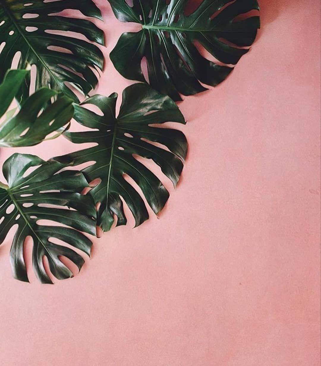 1080x1231 Pink & green is my new thing, period. #currentobsession I've