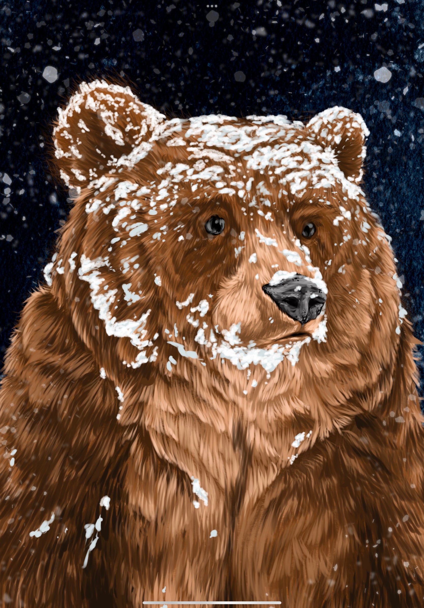 1668x2388 Winter woodland snowy grizzly bear art print illustration art decor wa