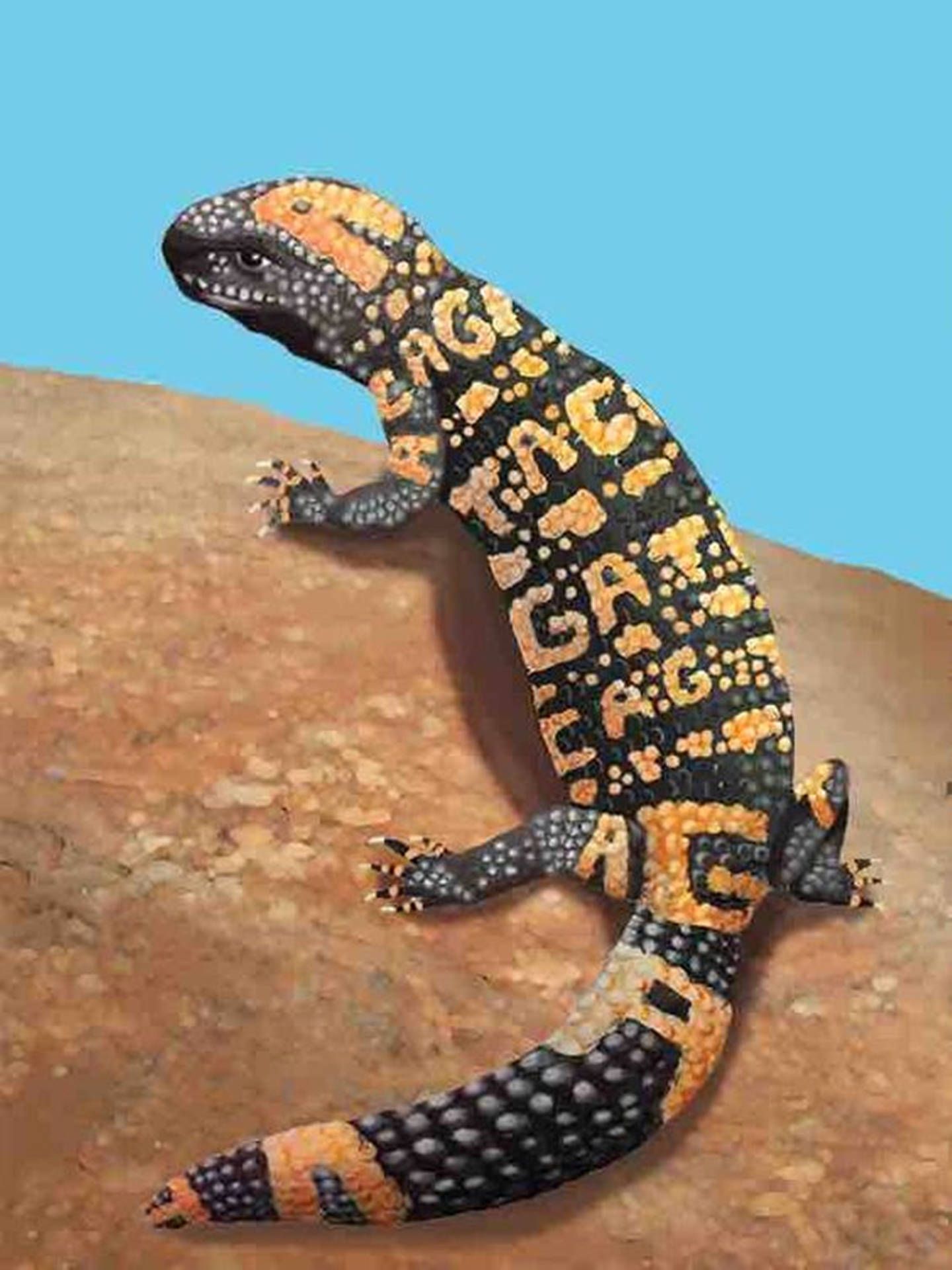 1440x1920 Download Gila Monster Art With Letter Patterns Wallpaper