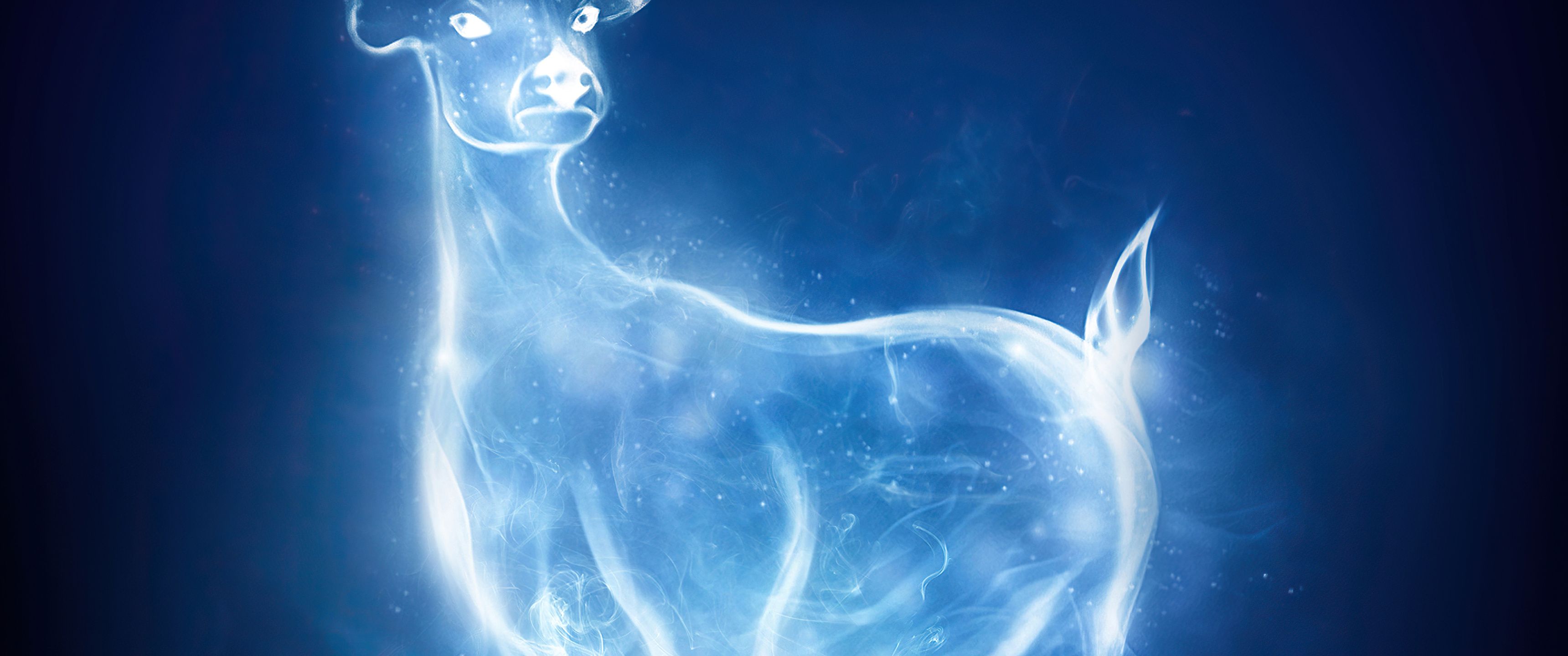 3440x1440 Patronus Charm Harry Potter And Fantastic Beasts UltraWide Quad HD 1440P , HD 4k Wallpaper, Image, Background, Photos and Picture