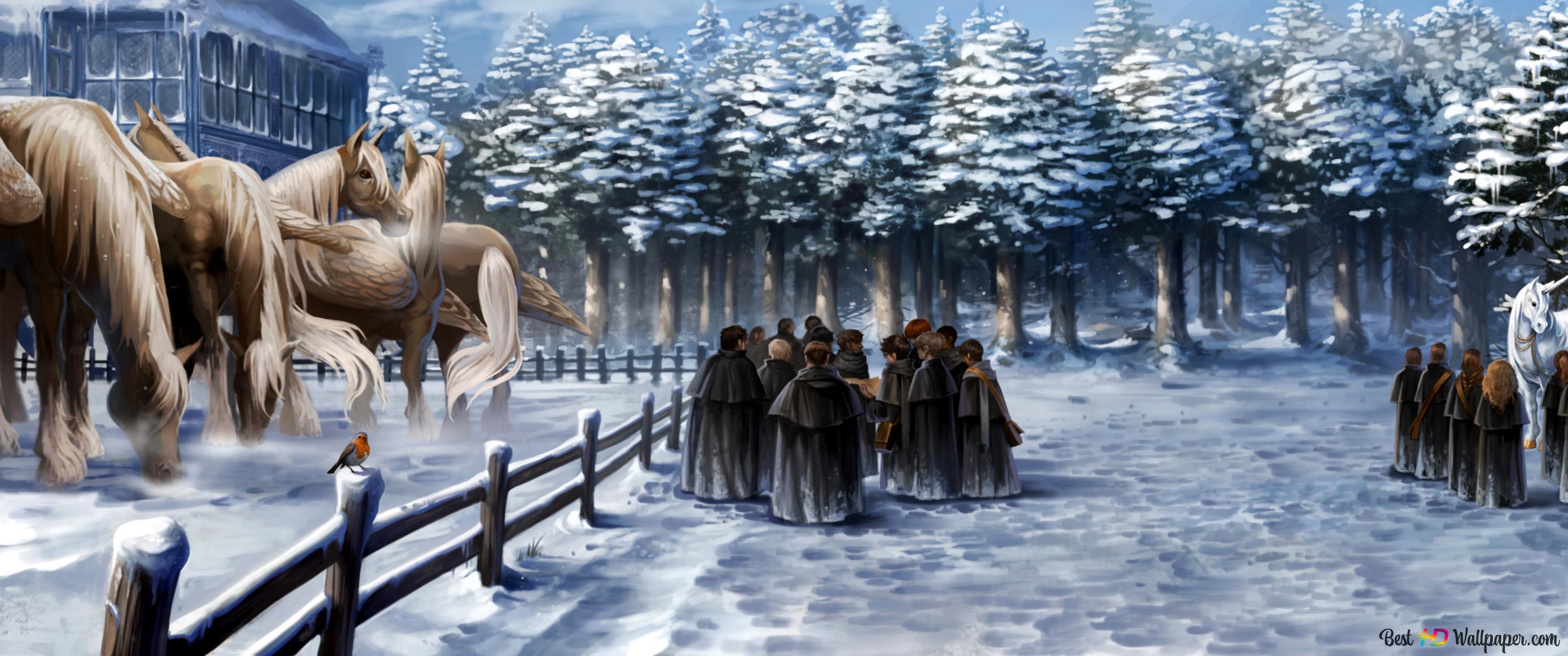 3440x1440 a lesson in unicorns potter goblet of fire 4K wallpaper download