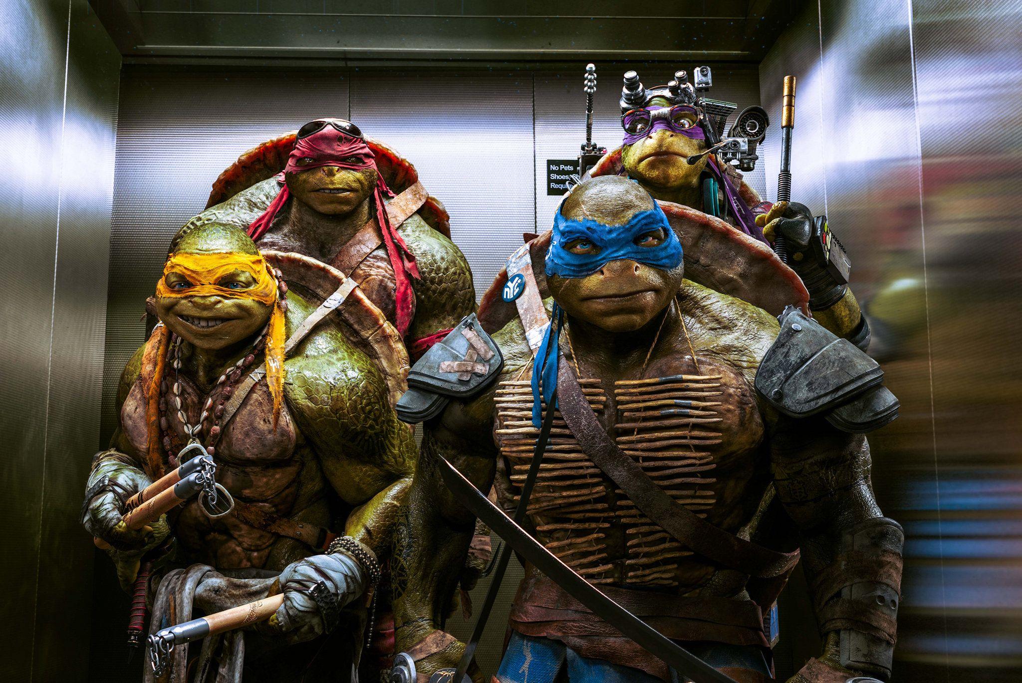 2048x1368 Teenage Mutant Ninja Turtles 2 Wallpaper High Resolution