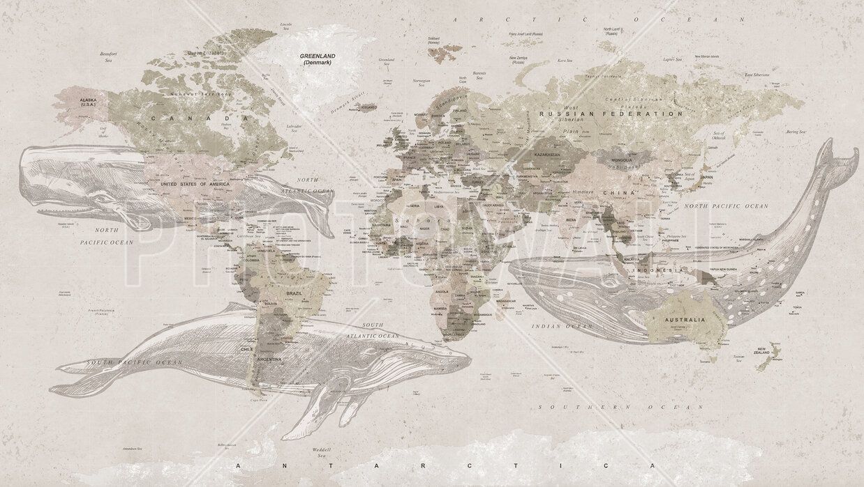 1238x699 Whale Map