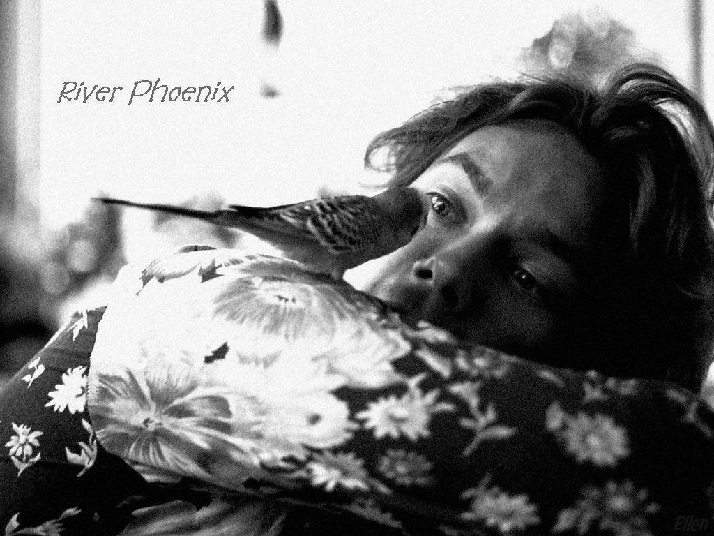 1024x768 River Phoenix Wallpaper. River phoenix, Phoenix wallpaper, My own