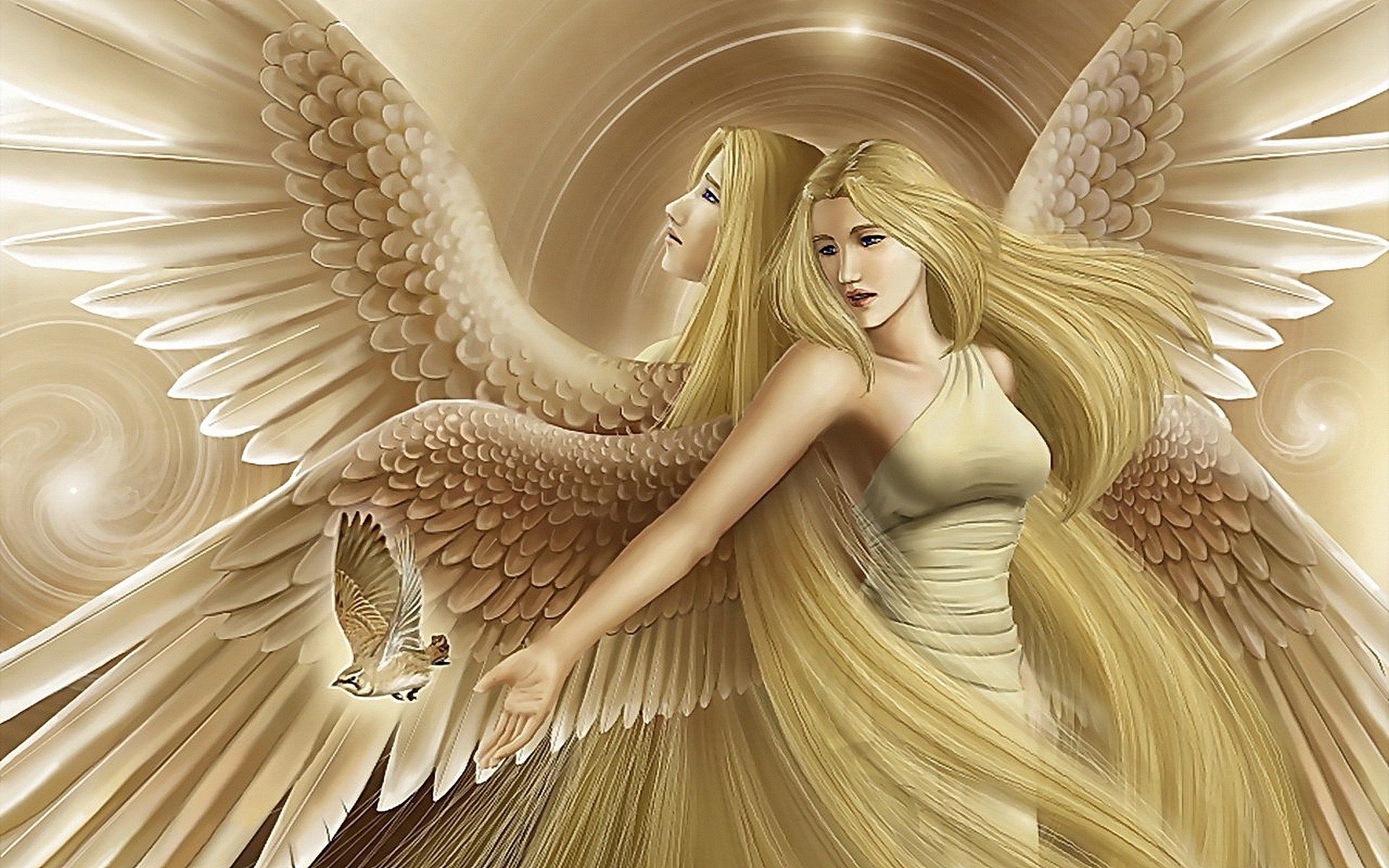 1920x1200 Fantasy Angel HD Wallpaper: Ethereal Beauty in Goldx1200