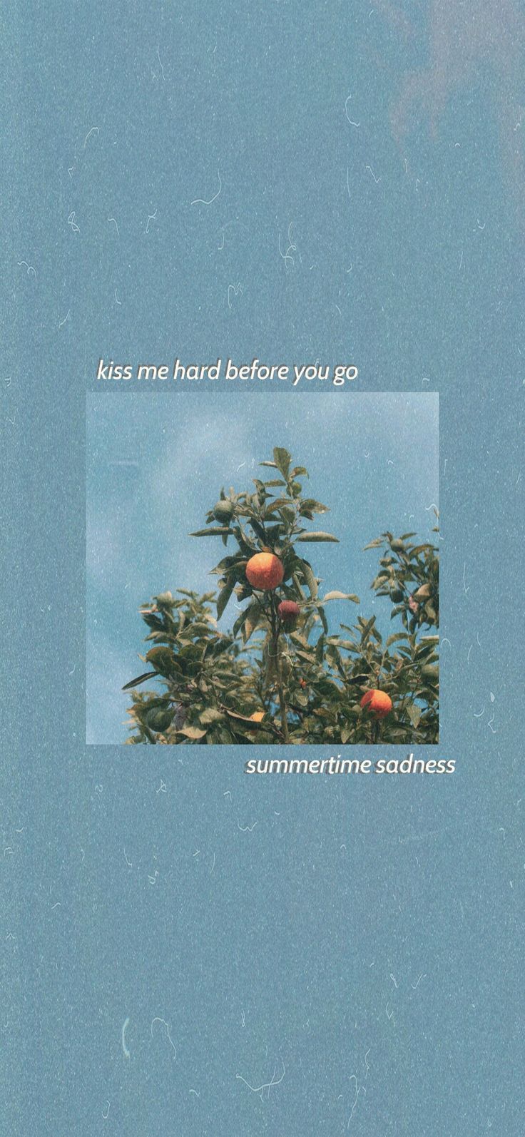 736x1594 Summertime sadness lana del rey wallpaper aesthetic