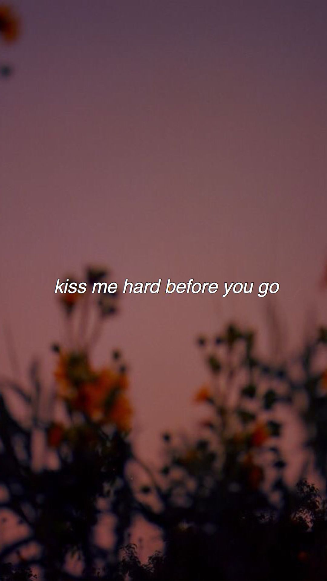 1080x1919 Summertime Sadness Wallpaper
