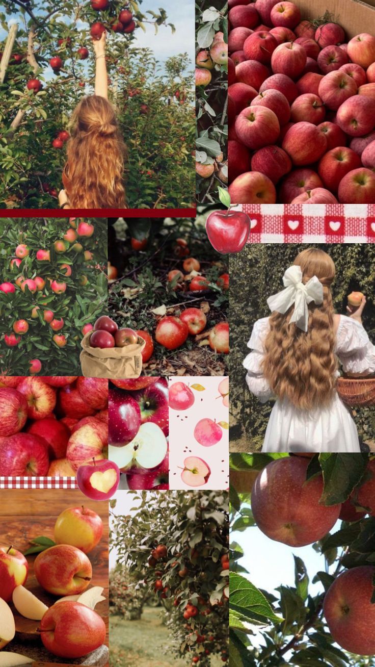 736x1308 Apple aesthetic wallpaper fruit