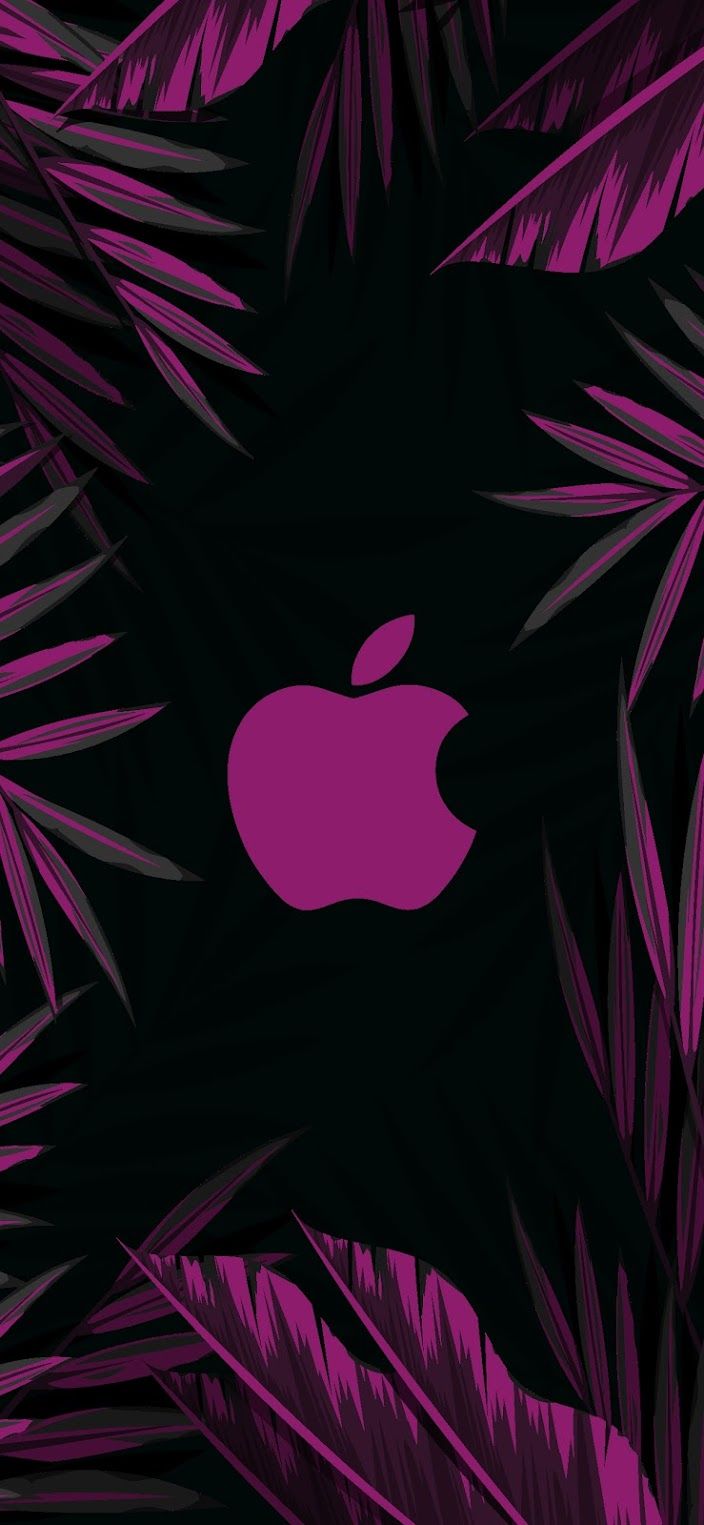 704x1525 iPhone wallpaper aesthetic