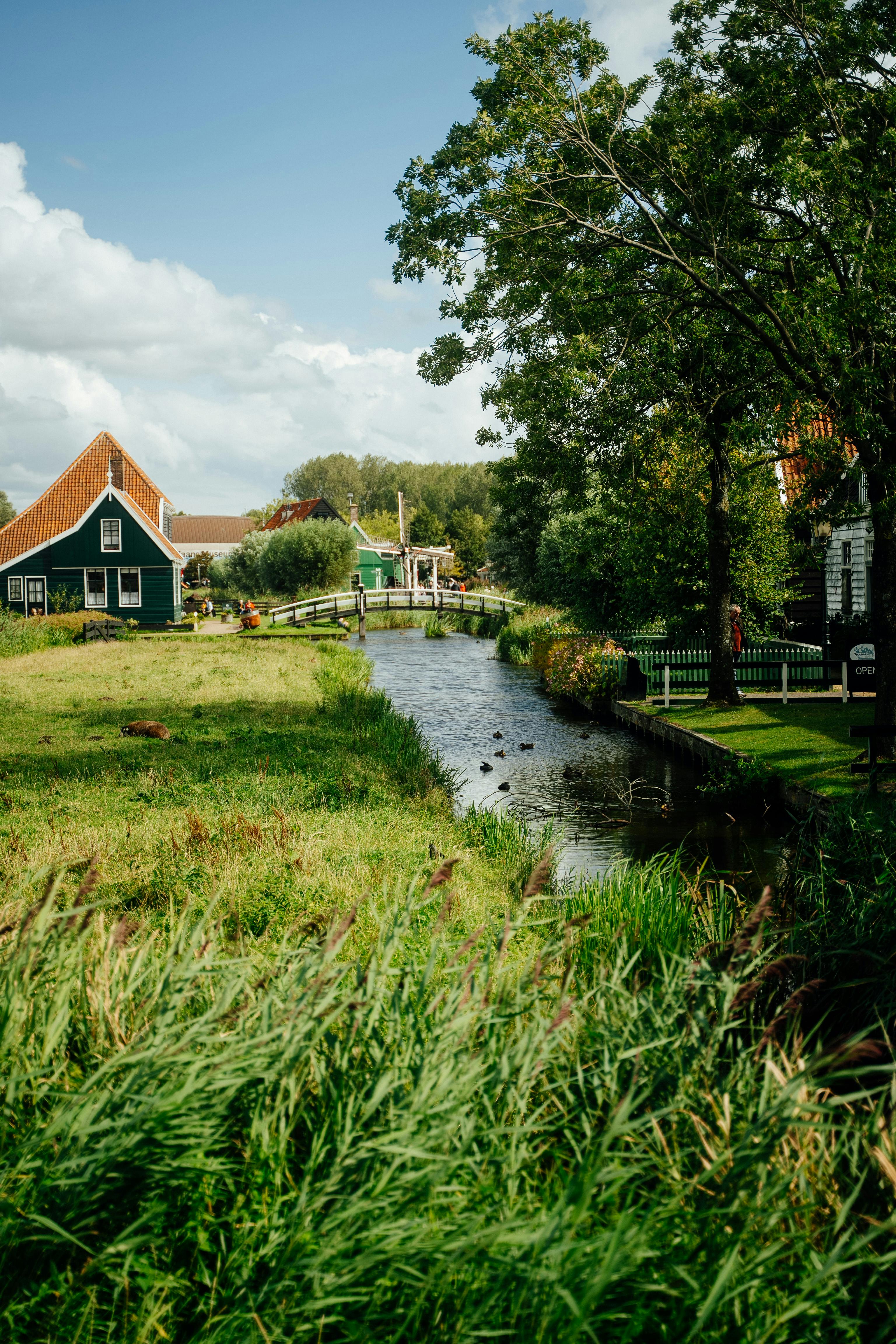 3072x4608 Green Village with River · Free