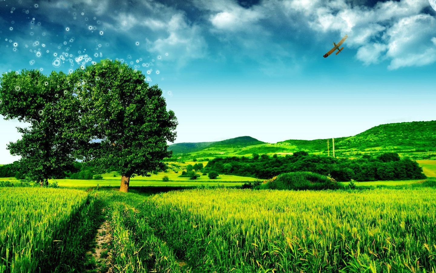 1440x900 Green Landscape Desktop Wallpaper 03086