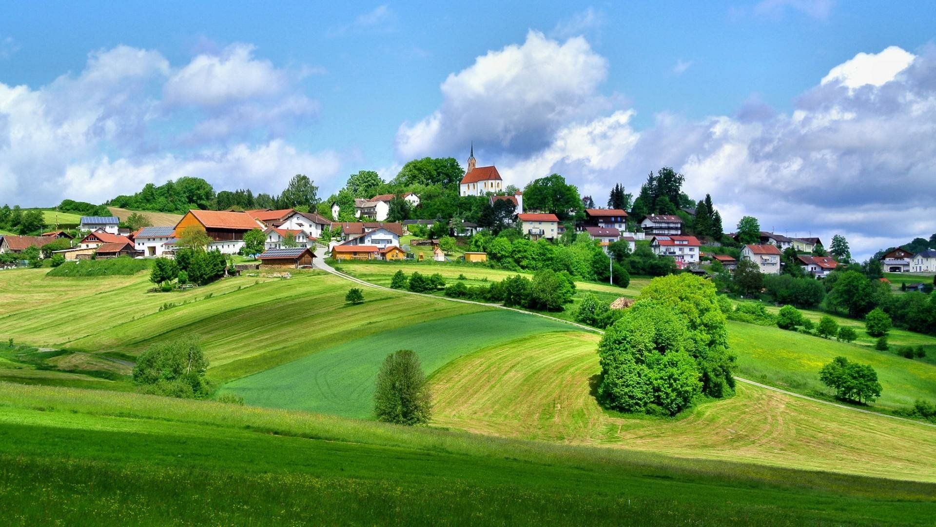 1920x1080 Serene Village Hillside Landscape: Lush Fields and Trees in HDx1080